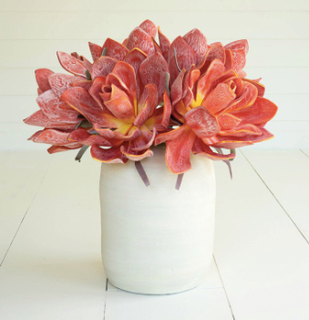 Botanical 2651
