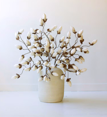 Botanical 2716