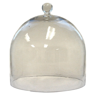 Large Glass Dome