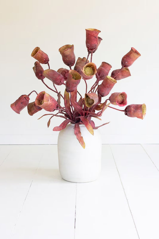 Botanical 2779