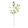 Quince Fruit Branch