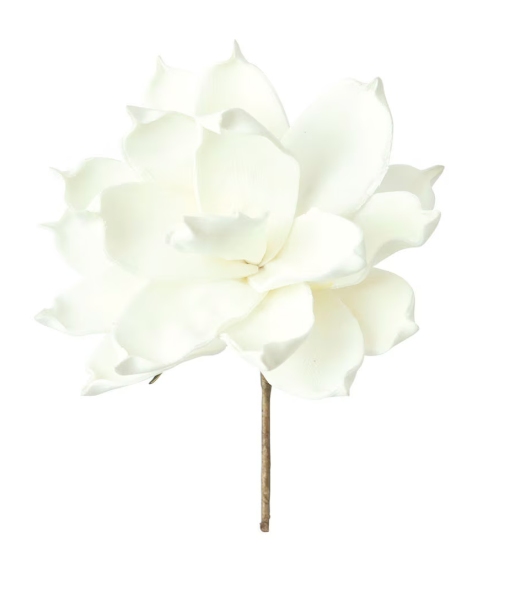 Botanical 36