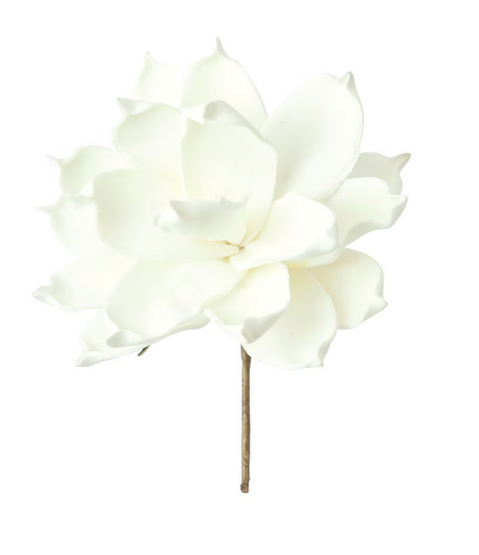 Botanical 36
