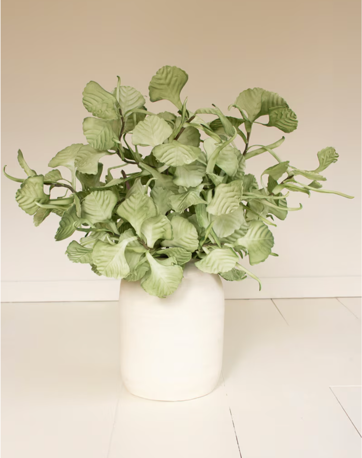 Botanical 3593