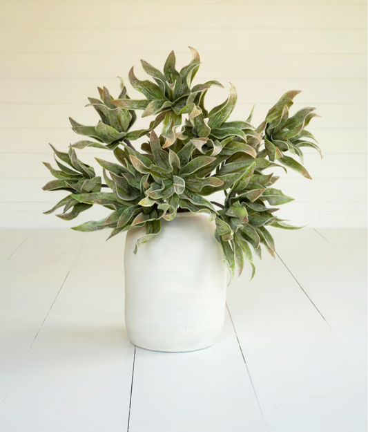 Botanical 2654