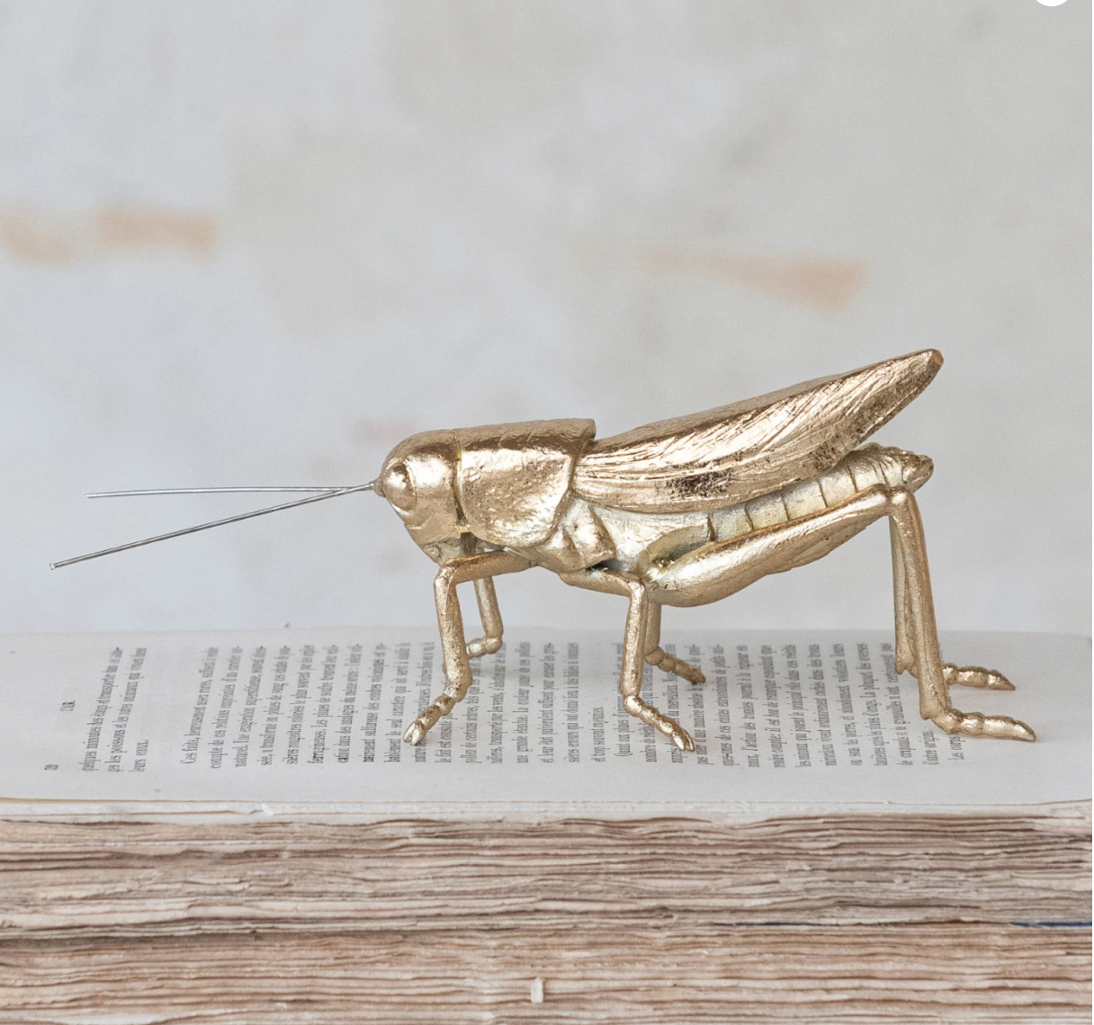 Decorative Gold Grasshopper