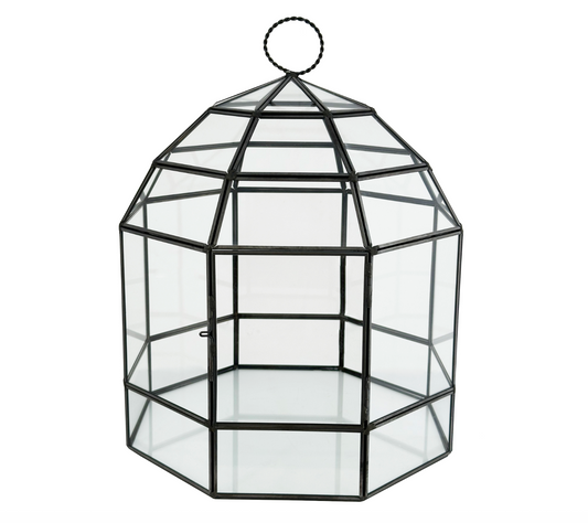 Glass Greenhouse