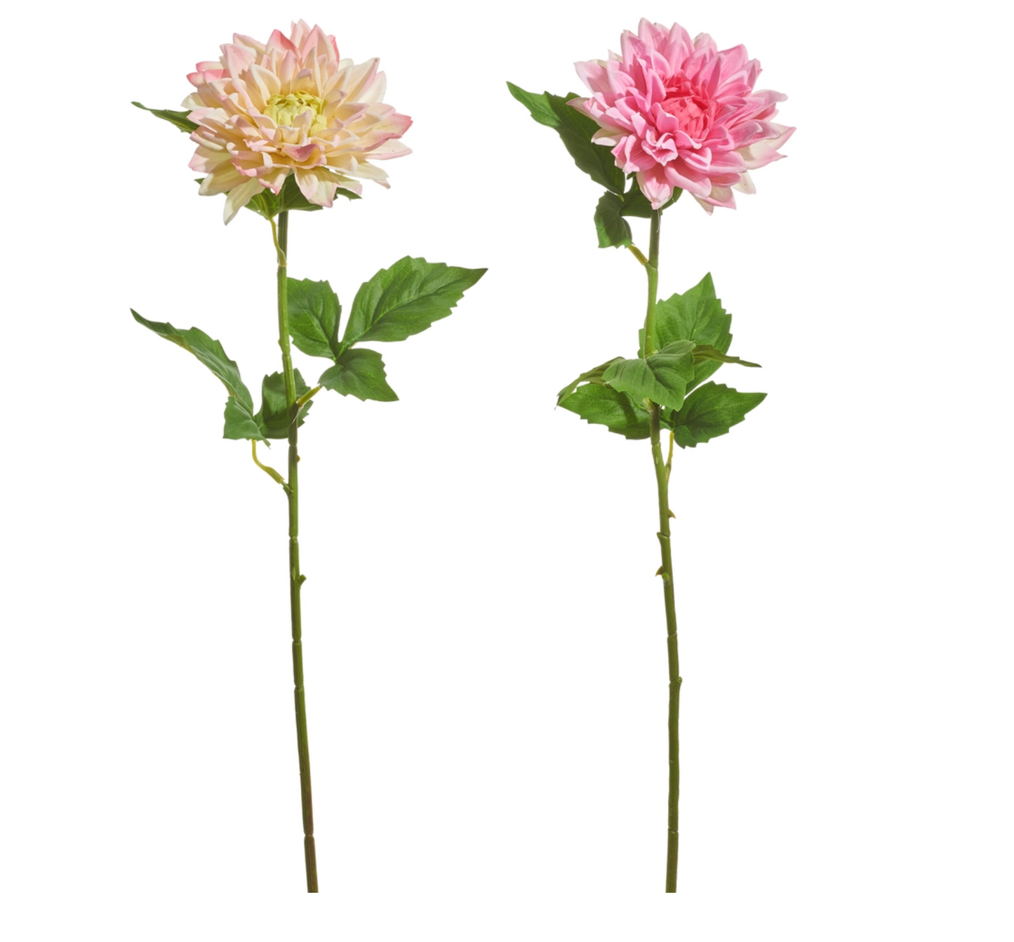23" Pink Dahlia Stem
