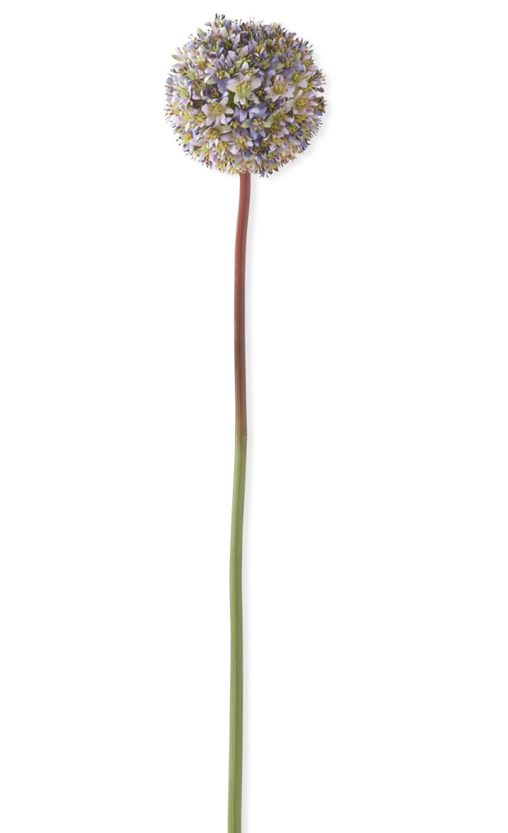 30" Purple Allium Stem