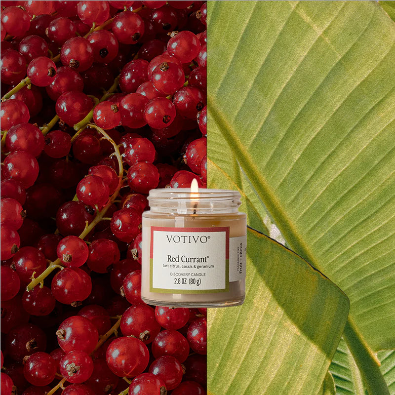 Votivo Discovery Candles