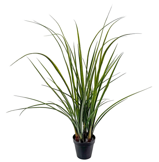 Potted Lemongrass - Faux