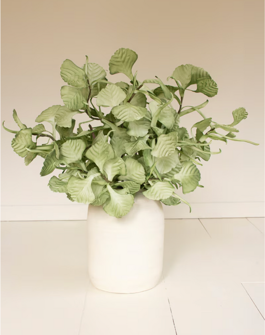 Botanical 3593