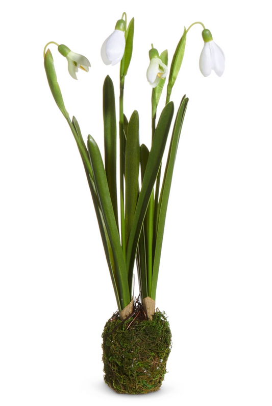 12" Snowdrop Plant Drop In