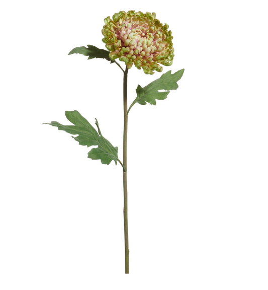 23" Green Mum Stem