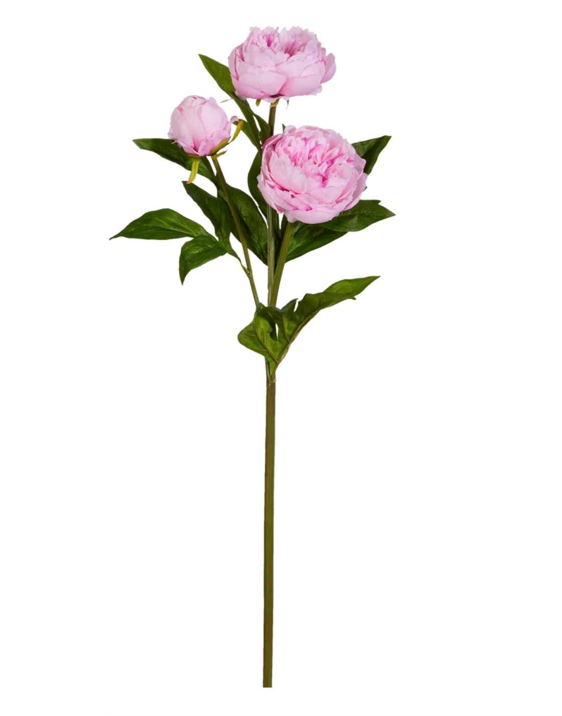 30" Pink Peony Spray