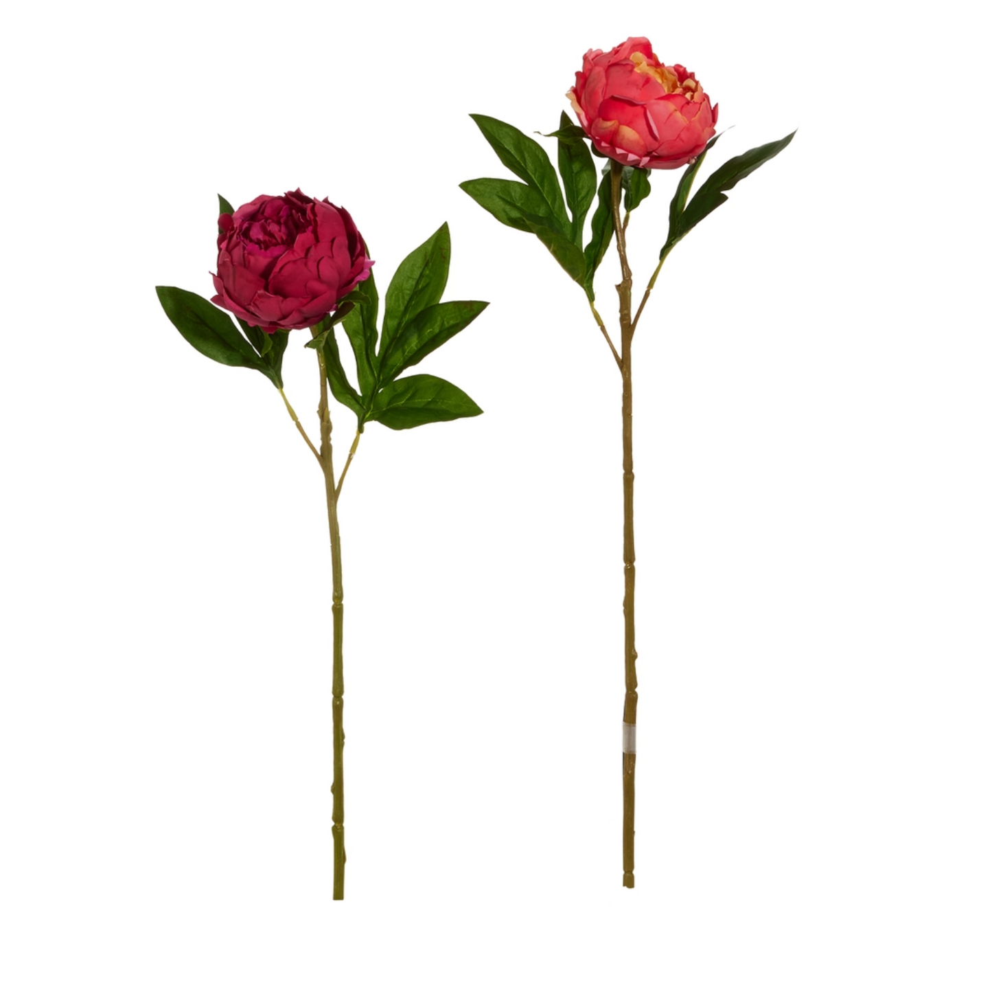 23" Peony Stem