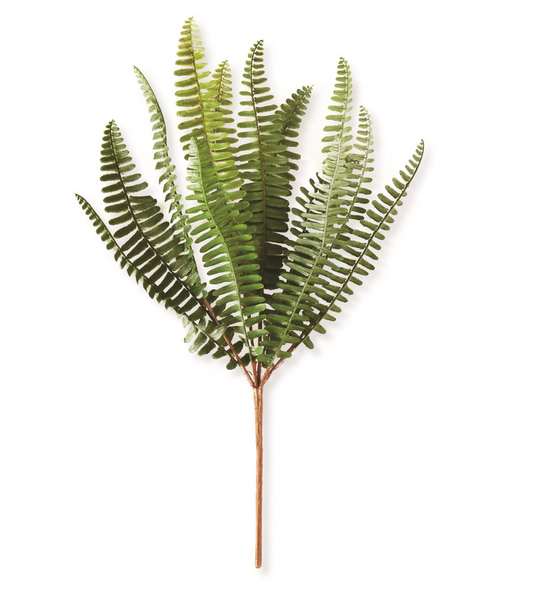 14.5" Fern Stem