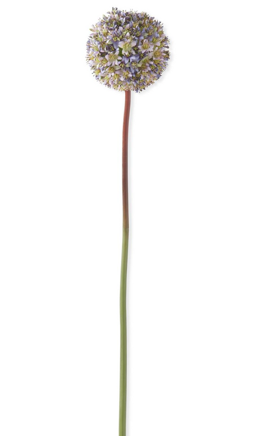 30" Purple Allium Stem