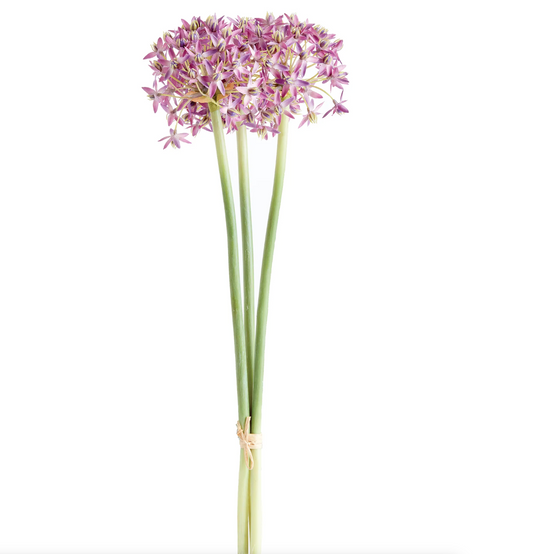 S/3 Allium Stems