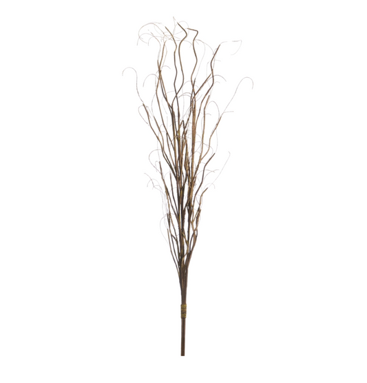 Curly Willow Bundle