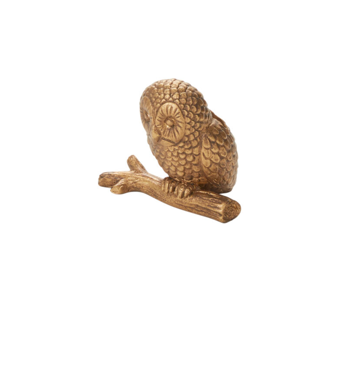 Animal Name Card Holder